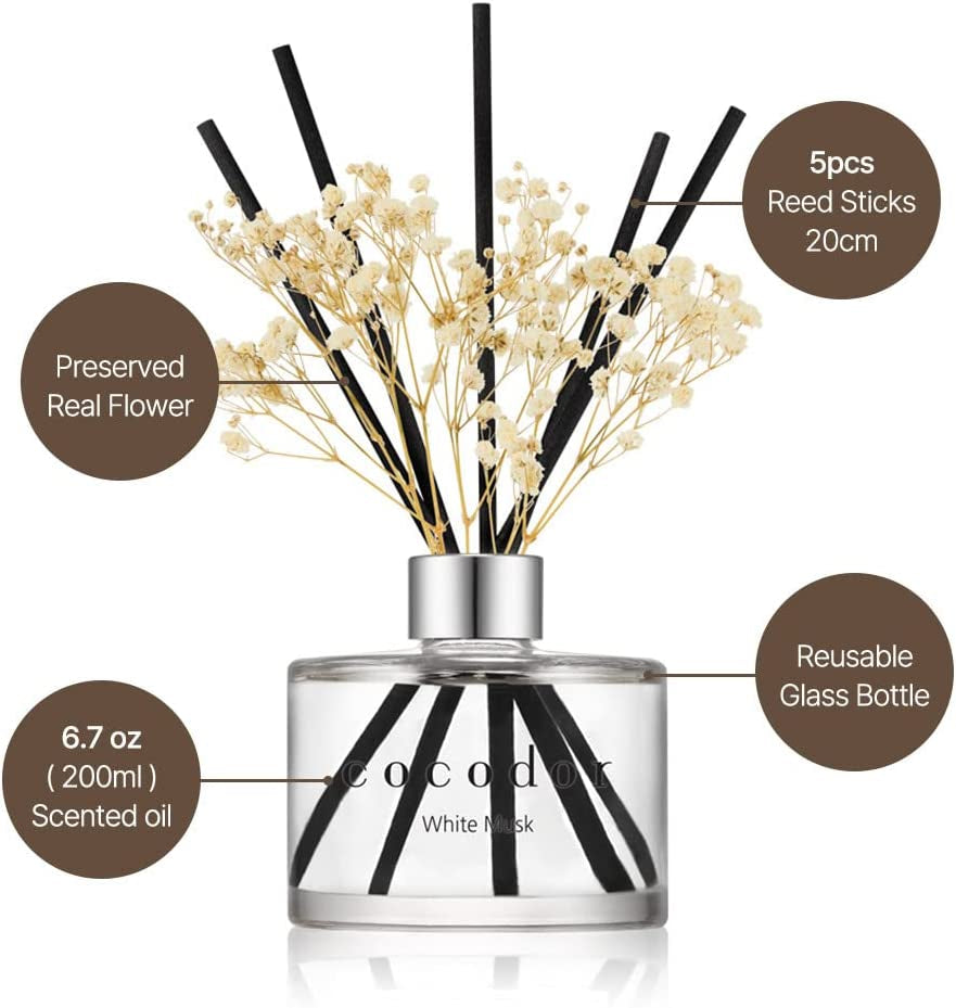 COCODOR Preserved Real Flower Reed Diffuser/Black Cherry / 6.7Oz(200Ml) / 1 Pack/Reed Diffuser Set, Oil Diffuser & Reed Diffuser Sticks, Home Decor & Office Decor, Fragrance and Gifts