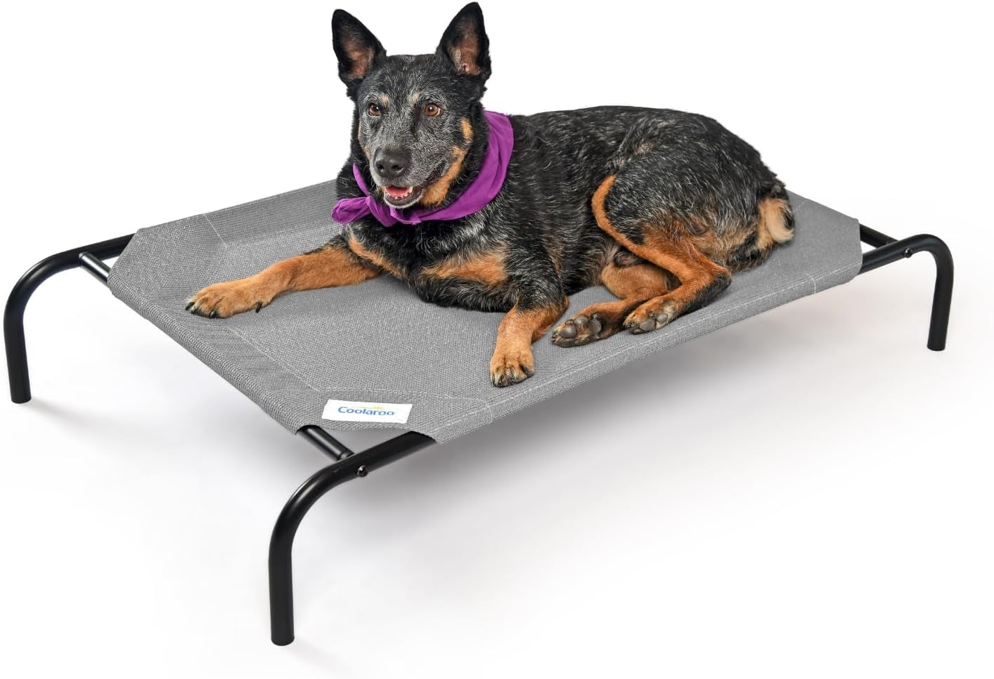 the Original Cooling Elevated Dog Bed, Indoor and Outdoor, Medium, Grey