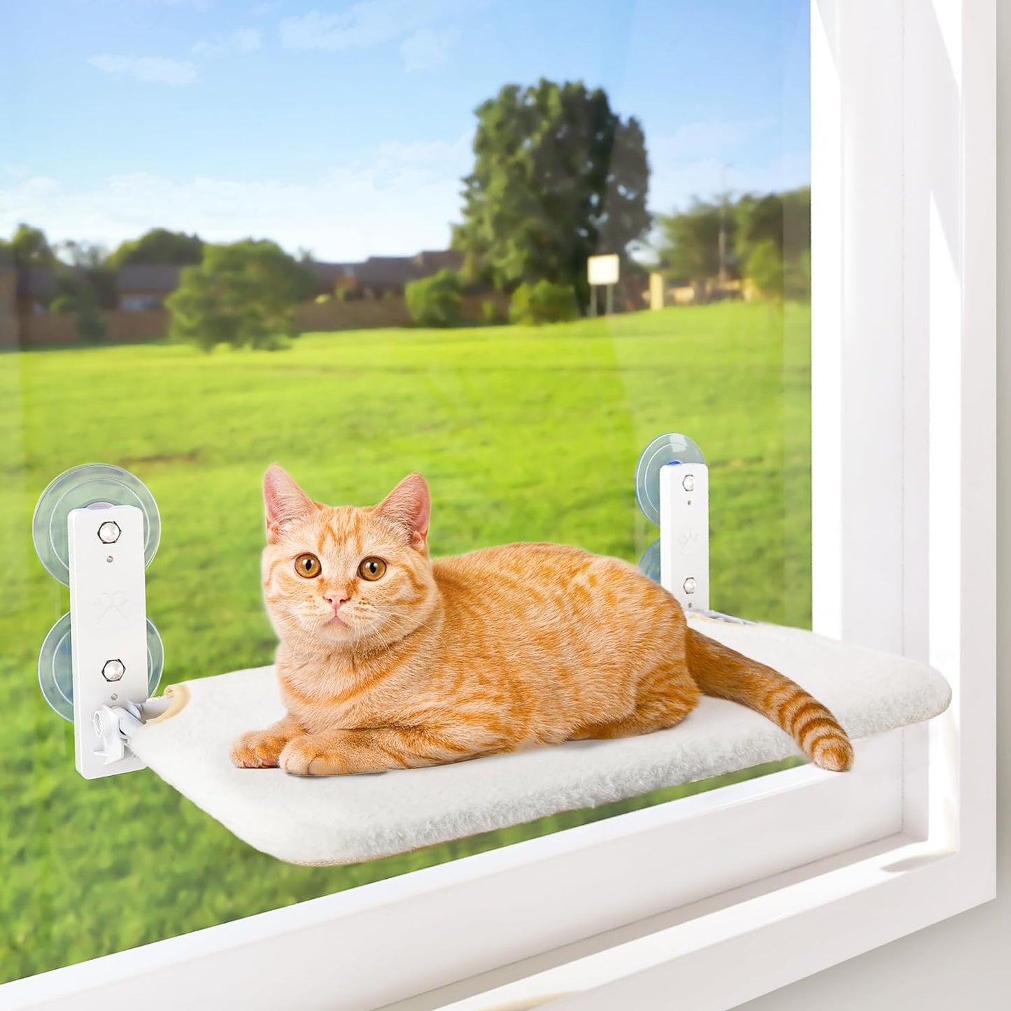 Cordless Cat Window Perch, Cat Hammock for Wall with 4 Strong Suction Cups, Solid Metal Frame and Reversible Cover, Foldable Cat Beds for Indoor Cats (Medium-White)