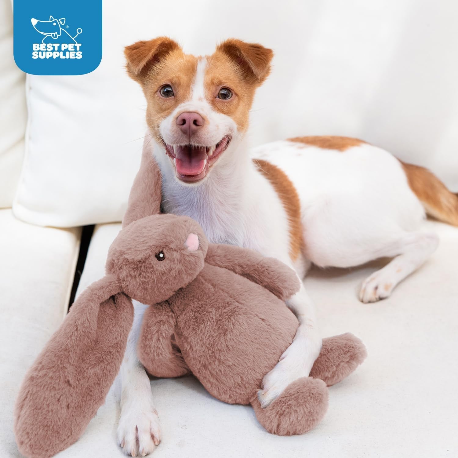 Interactive Bunny Buddy Dog Toy with Crinkle and Squeaky Enrichment for Small and Medium Breed Puppies or Dogs, Cute and Plush - Bunny (Mauve)