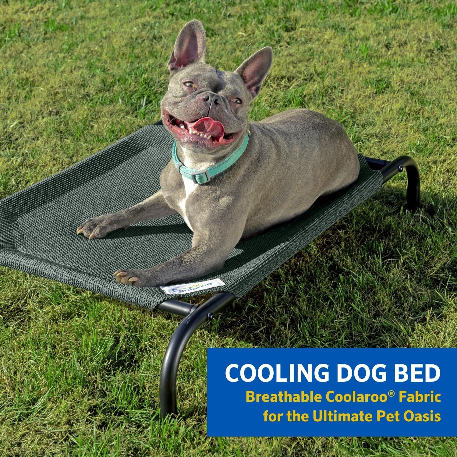 the Original Cooling Elevated Dog Bed, Indoor and Outdoor, Medium, Grey