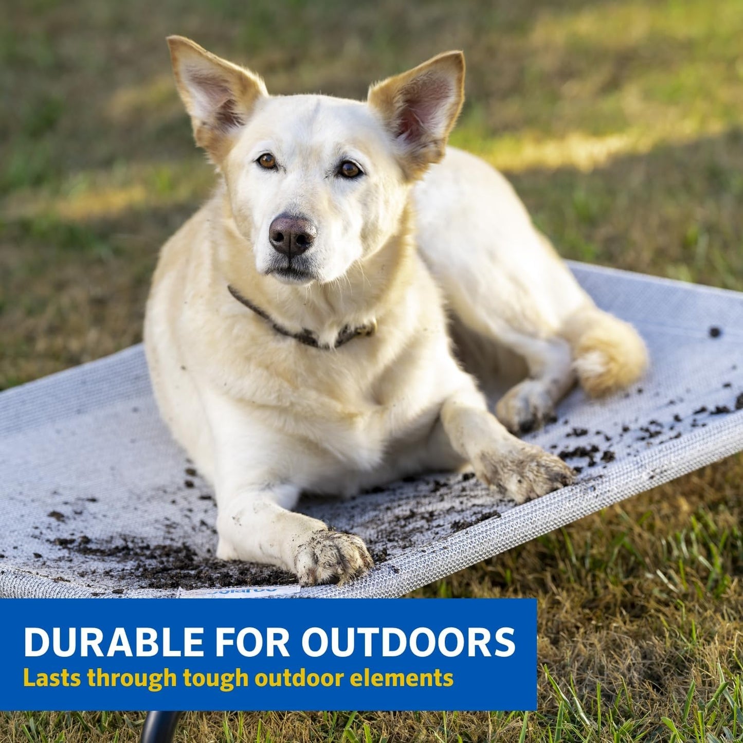 the Original Cooling Elevated Dog Bed, Indoor and Outdoor, Medium, Grey