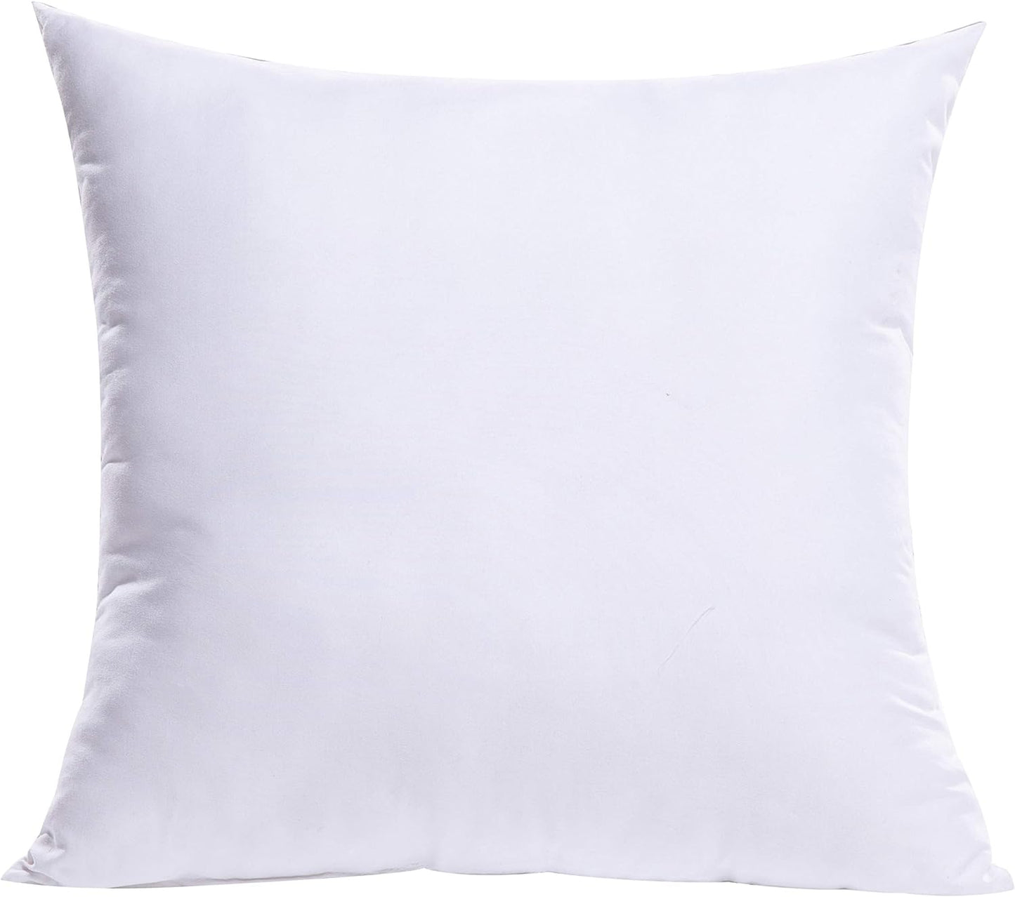 Throw Pillow Insert Premium Pillow Stuffer Sham Rectangle for Decorative Cushion Bed Couch Sofa 17X17 Inch
