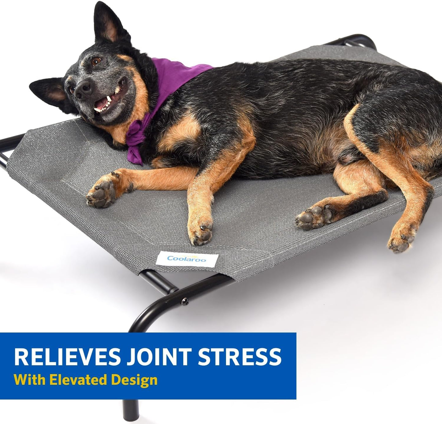 the Original Cooling Elevated Dog Bed, Indoor and Outdoor, Medium, Grey