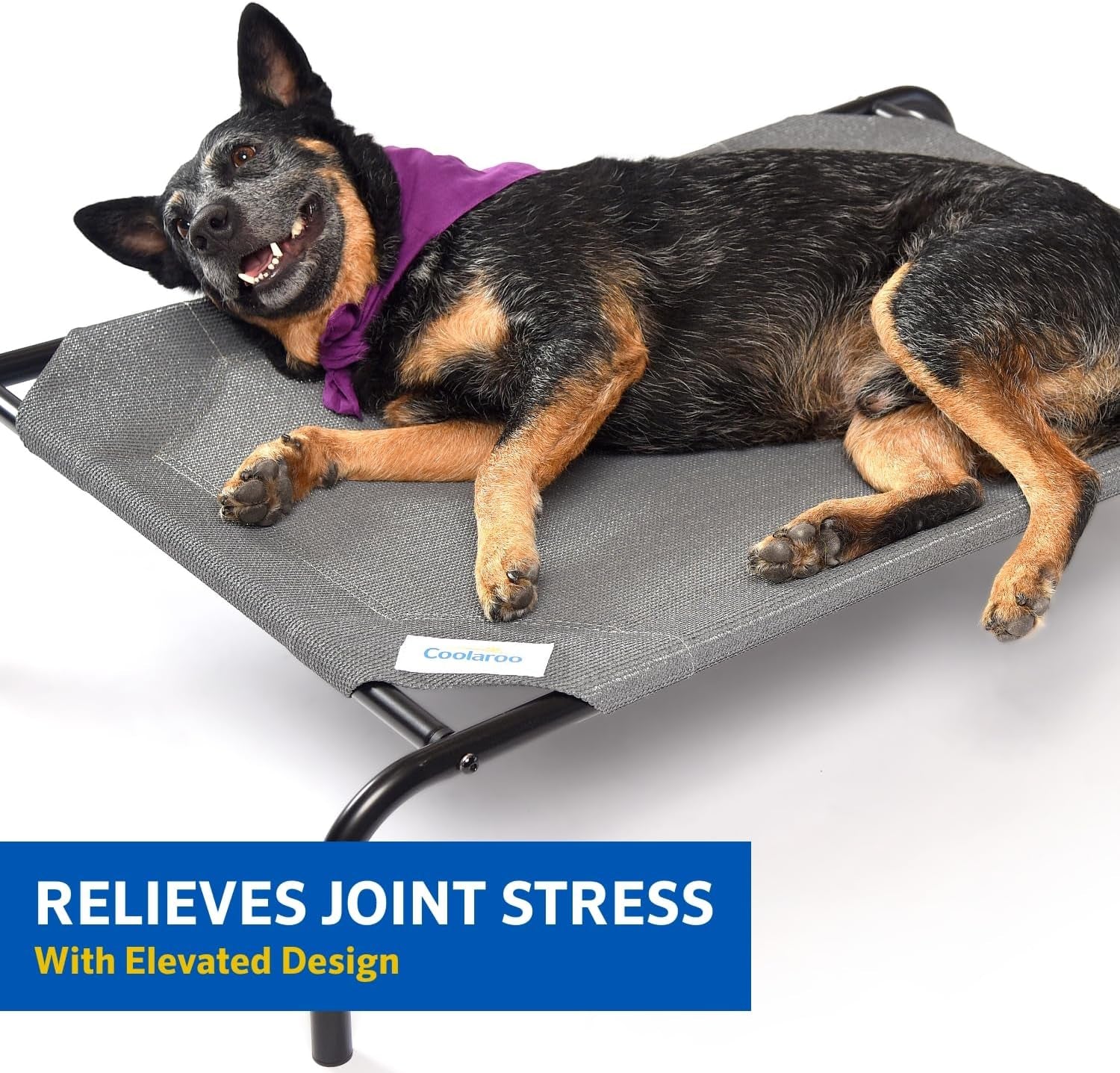 the Original Cooling Elevated Dog Bed, Indoor and Outdoor, Medium, Grey